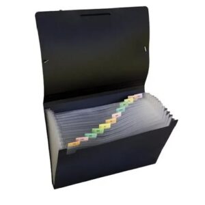 CLASIFICADOR  A4 PLASTICO X 12 DIVISIONES