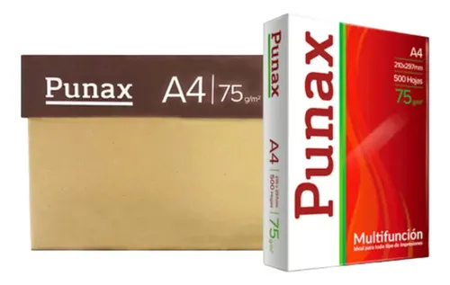 2 CAJAS RESMA PUNAX A4 75 GRS (x20 UN) - PROMOCIÓN!