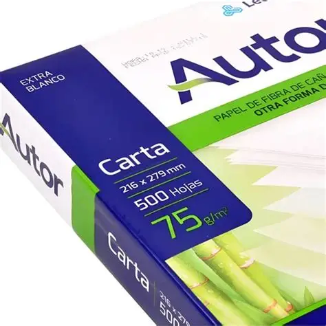 RESMA LEDESMA AUTOR CARTA 75 GRS POR UNIDAD